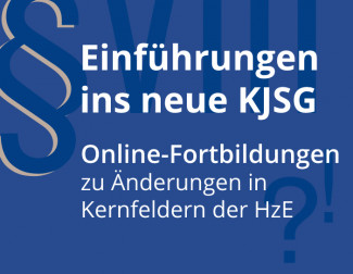 Einführung KJSG