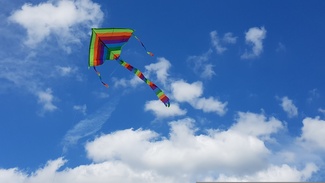 Kite